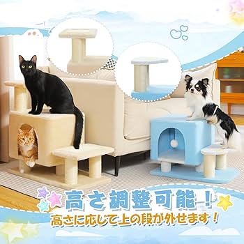 ねこ ヒルズ キトン チキン 子ねこ用 1.4kg | ペット用品（猫） 通販